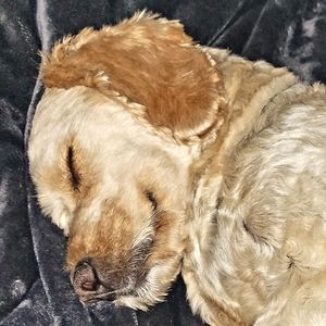 J.B. Custom ✂️🪡🧵